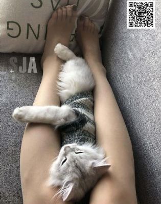 超碰精品在线_超清在线手机播放