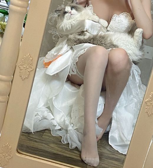 日韩美女被乱_BD国语免费全集观看