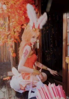 无码播放的一区二区视频_手机免费播放动漫